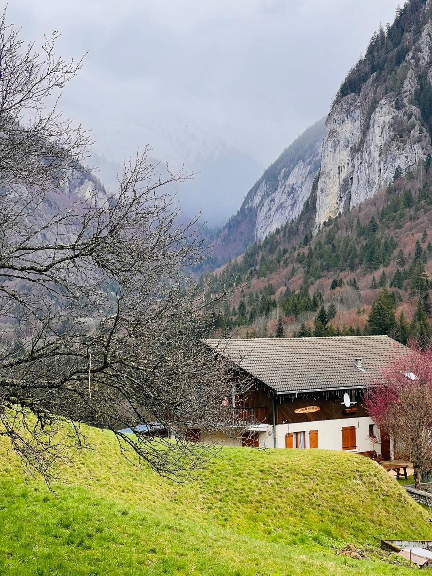 Chalet Du Bonheur Villa Bonnevaux  Екстериор снимка